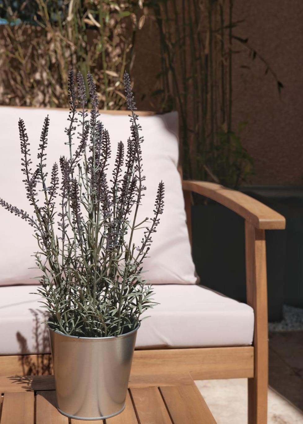 Studio Renove Avec Belle Terrasse آيكس أومبروفينس المظهر الخارجي الصورة